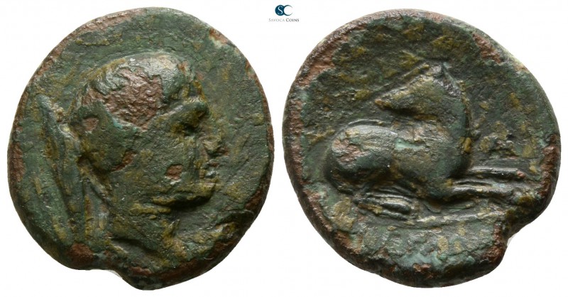 Akarnania. Argos Amphilochicon circa 300 BC. 
Bronze Æ

16mm., 3,93g.

Head...