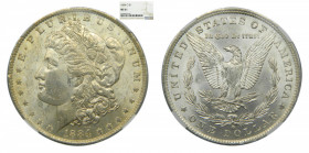 ESTADOS UNIDOS. 1884 O. New Orleans. Dólar Morgan. (km#110) Encapsulado por NGC
MS61
