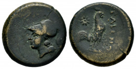 Campania. Cales. AE 20. 365-240 BC. (Gc-548). (HN Italy-435). Anv.: Helmeted head of Athena left. Rev.: Cock standing right; star to left. Ae. 6,67 g....