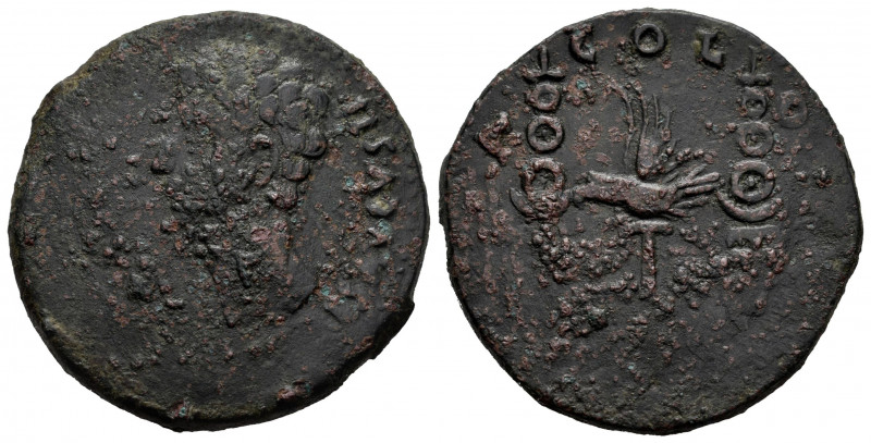 Colonia Patricia. Augustus period. Dupondius. 27 BC - 14 AD. Córdoba. (Abh-1988)...