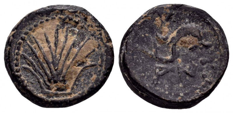 Arse-Saguntum. Quadrans. 170-20 BC. Sagunto (Valencia). (Abh-2052). (Acip-1975)....