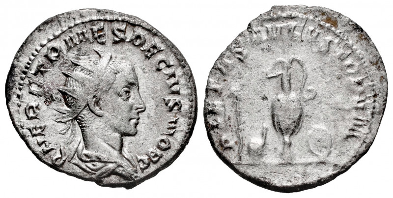 Herennius Etruscus. Antoninianus. 250-251 d.C. Rome. (Ric-IV 143). (Rsc-14). Anv...