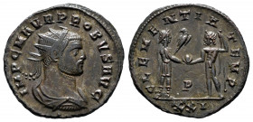 Probus. Antoninianus. 276-282 d.C. Cyzicus. (Ric-905). Rev.: CLEMENTIA TEMP P/XXI. Ve. 4,09 g. Almost XF. Est...40,00. 

Spanish description: Probo....