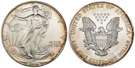 United States. 1 dollar. 1995. (Km-273). Ag. 31,34 g. "American Silver Eagle" . Mint state. Est...50,00. 

Spanish description: Estados Unidos. 1 do...