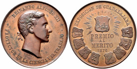 Alfonso XII (1874-1885). Medal. 1876. (Vives-467). Ae. 63,04 g. Exposición de Guadalajara. Premio al mérito. Grabador L. Planiol. 48 mm. Algo sucia. A...