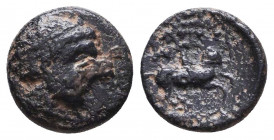 Kingdom of Macedonia, Philip II (359-336 BC), Æ
Reference:
Condition: Very Fine

Weight: 1 gr
Diameter: 10,8 mm