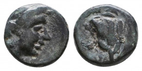 CARIA. Rhodes. Ae (Circa 88 BC).
Reference:
Condition: Very Fine

Weight: 0,9 gr
Diameter: 9,7 mm