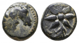 Pontus. Uncertain circa 130-100 BC. Ae
Reference:
Condition: Very Fine

Weight: 1,7 gr
Diameter: 11,2 mm