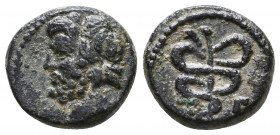 Cilicia, Aigai. 2nd-1st century B.C. AE 
Reference:
Condition: Very Fine

Weight: 2,8 gr
Diameter: 14,4 mm