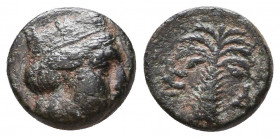 Phoenicia, Tyre, c. 2nd-1st century BC. Æ
Reference:
Condition: Very Fine

Weight: 1,5 gr
Diameter: 11,3 mm
