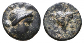 Kings of Cappadocia. Ae. circa 163-130 BC.
Reference:
Condition: Very Fine

Weight: 1,3 gr
Diameter: 11,1 mm