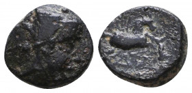 Kings of Cappadocia. Ae. circa 163-130 BC.
Reference:
Condition: Very Fine

Weight: 1,8 gr
Diameter: 11,6 mm
