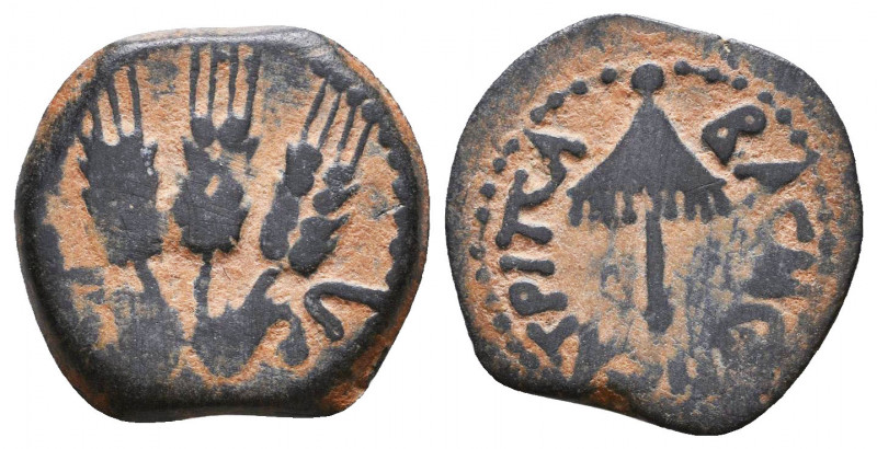 JUDAEA. First Jewish War. 66-70 CE. Æ Prutah
Reference:
Condition: Very Fine
...