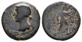 Julia Augusta (Livia). Augusta, AD 14-29. Æ 
Reference:
Condition: Very Fine

Weight: 4,3 gr
Diameter: 17,8 mm