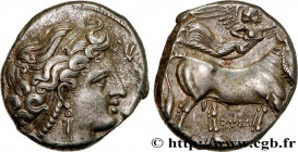 CAMPANIA - NEAPOLIS
Type : Nomos, statère ou didrachme 
Date : c. 300 AC. 
Mint name / Town : Naples, Campanie 
Metal : silver 
Diameter : 19,5  mm
Or...