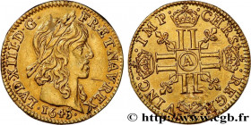 LOUIS XIII
Type : Demi-louis d'or à la mèche longue 
Date : 1643 
Mint name / Town : Paris 
Quantity minted : 181295 
Metal : gold 
Millesimal finenes...