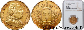LOUIS XVIII
Type : 20 francs or Louis XVIII, buste habillé 
Date : 1815 
Mint name / Town : Lille 
Quantity minted : 134556 
Metal : gold 
Millesimal ...