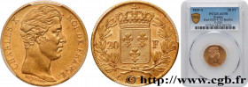 CHARLES X
Type : 20 francs or Charles X, matrice du revers à quatre feuilles et demie 
Date : 1828 
Mint name / Town : Paris 
Quantity minted : 278428...