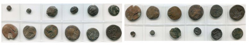 LITTORAL DE LA MER NOIRE, OLBIA, lot de 12 bronzes: 4e-3e s. av. J.-C., T. fém./...