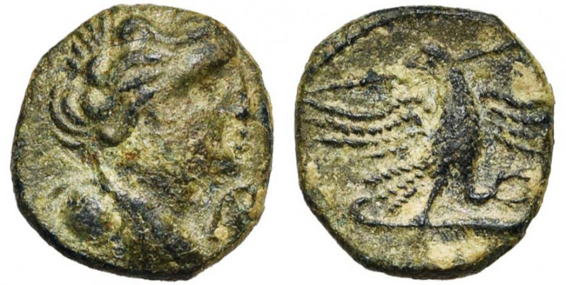 GAULE NARBONNAISE, Volcae Arecomici, AE bronze, 60-40 av. J.-C. D/ B. fém., dr. ...