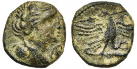 GAULE NARBONNAISE, Volcae Arecomici, AE bronze, 60-40 av. J.-C. D/ B. fém., dr. à d. Devant, AR et une palme. R/ Aigle de f. sur une palme, t. à g., l...