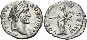 ANTONIN le Pieux (138-161), AR denier, 144, Rome. D/ ANTONINVS AVG PIVS P P T. l. à d. R/ COS III DES IIII Pax deb. à g., ten. un rameau et une corne ...
