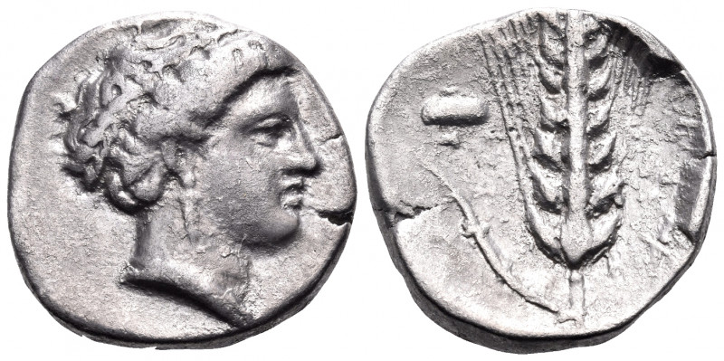 LUCANIA. Metapontum. Circa 400-340 BC. Nomos (Silver, 20 mm, 7.71 g, 7 h). Head ...
