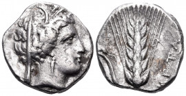 LUCANIA. Metapontum. Circa 340-330 BC. Nomos (Silver, 19 mm, 7.72 g, 7 h), struck under the magistrate Ph... Head of Demeter to right, wearing barley ...