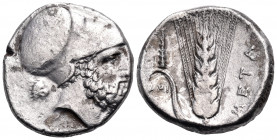 LUCANIA. Metapontum. Circa 340-330 BC. Nomos (Silver, 20 mm, 7.92 g, 8 h), struck under the magistrates Pa... and Ami.... Head of Leukippos to right, ...