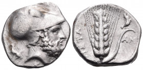LUCANIA. Metapontum. Circa 340-330 BC. Nomos (Silver, 20 mm, 7.81 g, 6 h), struck under the magistrates S... and AMI... ΛEYKI-ΠΠOΣ Helmeted head of Le...