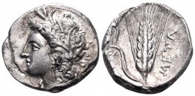LUCANIA. Metapontum. Circa 330-290 BC. Nomos (Silver, 20.5 mm, 7.66 g, 3 h), struck under the magistrate Atha... Head of Demeter to left, wearing grai...