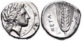 LUCANIA. Metapontum. Circa 330-290 BC. Nomos (Silver, 20 mm, 7.83 g, 8 h). Head of Demeter to right, wearing triple pendant earring and a grain wreath...