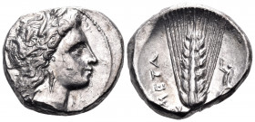 LUCANIA. Metapontum. Circa 330-290 BC. Nomos (Silver, 20 mm, 7.85 g, 7 h). Head of Demeter to right, wearing triple pendant earring and a grain wreath...