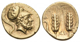 LUCANIA. Metapontum. Circa 280-279 BC. Tetrobol (Gold, 13 mm, 2.86 g, 7 h). ΛΕΥΚΙΠΠΟΣ Bearded head of Leukippos to right, wearing a crested Corinthian...