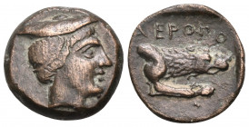 KINGS OF MACEDON. Aeropos, 398/7-395/4 BC. Chalkous (Bronze, 8 mm, 2.02 g, 3 h), Aigai or Pella. Young male head to right, wearing petasos. Rev. ΑΕΡΟΠ...
