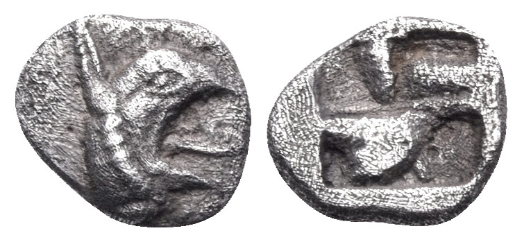 IONIA. Teos. Circa 500-475 BC. Tetartemorion (Silver, 6 mm, 0.27 g). Head of gri...