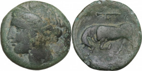 Sicily, Syracuse. Hieron II (275-215 BC). Æ (19mm, 4.30g). Good Fine