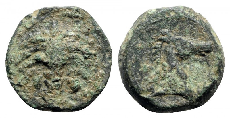 Sicily, Carthaginian Domain, c. 4th-3rd century BC. Æ (19mm, 5.76g, 12h). Palm t...