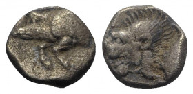 Mysia, Kyzikos, c. 450-400 BC. AR Obol (8mm, 0.78g, 3h). Forepart of boar l.; to r., tunny upward. R/ Head of lion l. within incuse square. Cf. SNG vo...