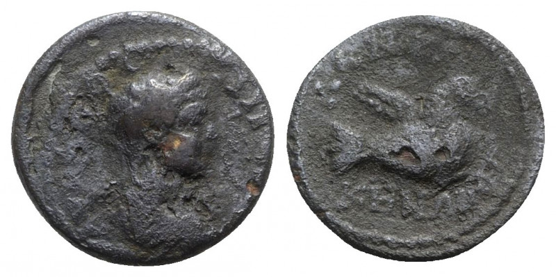 Geta (Caesar 198-209). Mysia, Lampsacus. Æ (18mm, 3.80g, 12h). Laureate, draped ...