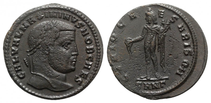 Maximinus II (Caesar, 305-309). Æ Follis (26mm, 6.21g, 6h). Nicomedia, 308-9. La...