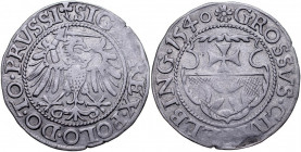 Zygmunt I Stary 1506-1548, Grosz 1540, Elbląg.