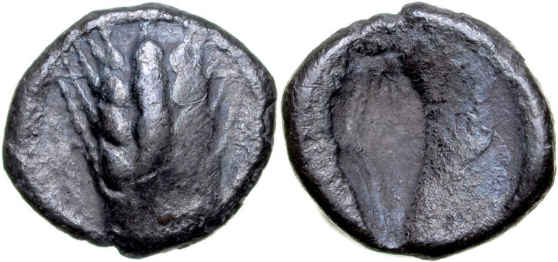 Greece, Lucania, Metapontum, Obol, 540-510 BC. ciemna patyna, waga 0,68 g. 
Gra...