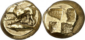 (450-400 a.C.). Misia. Kyzikos. Hekté. (S. 3835). 2,71 g. MBC+.