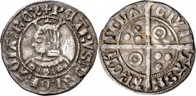 Pere III (1336-1387). Barcelona. Croat. (Cru.V.S. 402.1) (Cru.C.G. 2220d). Flores de 6 pétalos en el vestido. Letras A y U latinas. 3,08 g. MBC/MBC+.