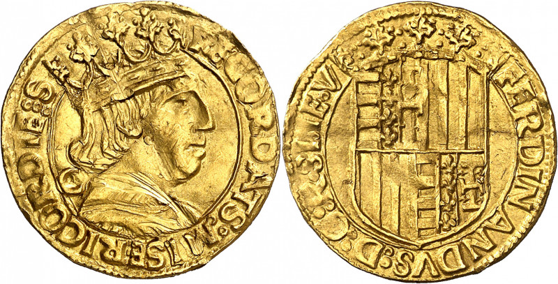 Ferran I de Nàpols (1458-1494). Nàpols. Ducat. (Cru.V.S. 997) (Cru.C.G. 3404) (M...