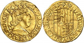Ferran I de Nàpols (1458-1494). Nàpols. Ducat. (Cru.V.S. 997) (Cru.C.G. 3404) (MIR. 64/6). Rayitas. Escasa. 3,49 g. (EBC-).