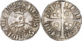 Alfons III (1327-1336). Barcelona. Croat. (Cru.V.S. 366.1) (Badia 190 var) (Cru.C.G. 2184c). Flores de seis pétalos en el vestido. Letras A del anvers...