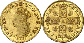 Francia. 1717. Luis XV. A (París). 1/2 luis de oro. (Fr. 451) (Kr. 429.1). Mínimas impurezas. Muy bella. Brillo original. Rara así. AU. 6,11 g. S/C-....