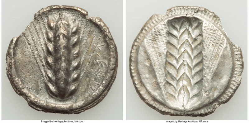 LUCANIA. Metapontum. Ca. 510-470 BC. AR stater (25mm, 6.82 gm, 12h). VF, edge ch...